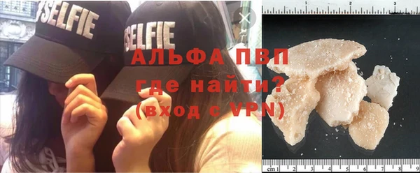 гидропоника Дмитриев