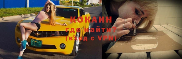 гидропоника Дмитриев