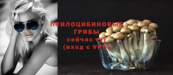 гидропоника Дмитриев