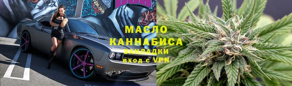 гидропоника Дмитриев