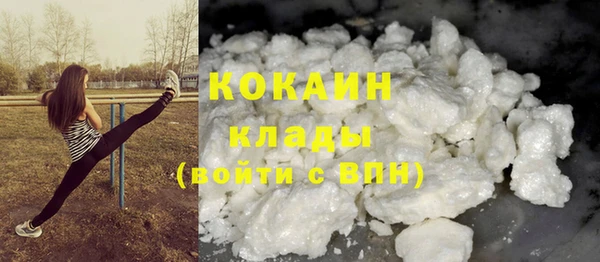 гидропоника Дмитриев