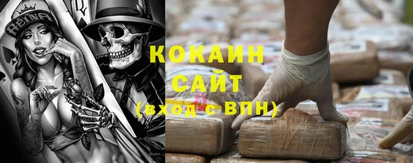 гидропоника Дмитриев